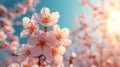 Image of spring with copy space. Blooming tree against blue background. Royalty Free Stock Photo