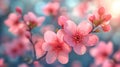 Image of spring with copy space. Blooming tree against blue background. Royalty Free Stock Photo