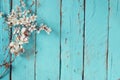 Image of spring white cherry blossoms tree on blue wooden table. vintage filtered image Royalty Free Stock Photo