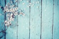 Image of spring white cherry blossoms tree on blue wooden table. vintage filtered image