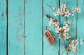 Image of spring white cherry blossoms tree next to wooden colorful pencils on blue wooden table. vintage filtered image Royalty Free Stock Photo