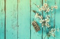 Image of spring white cherry blossoms tree next to wooden colorful pencils on blue wooden table. vintage filtered image