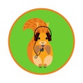 Image squirrel in headphones.