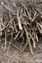 Image of stacked logpile and wood