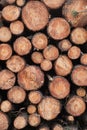 image of stacked logpile and wood Royalty Free Stock Photo
