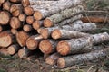 image of stacked logpile and wood