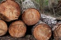 image of stacked logpile and wood