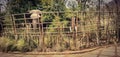 Elephant statue situated in the butterfly garden nashik