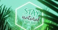 Image of stay natural text and logo in white hexagon, with palm leaves on aqua blue background