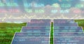 Image of stock market data processing over solar panels on grass against blue sky Royalty Free Stock Photo