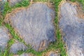 Stone footpath texture with green grass around