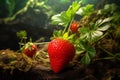 Strawberry Enchanted garden ultra-realistic plant Photo, Cottagecore simple living
