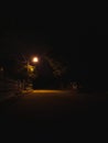 Streetlight and midnight