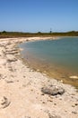 Stromatolites Lake Thetis Western Australia Royalty Free Stock Photo