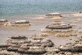 Stromatolites Lake Thetis Western Australia Royalty Free Stock Photo