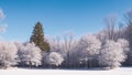 An Image Of A Stunning View Of A Snowy Forest With A Lone Tree AI Generative Royalty Free Stock Photo