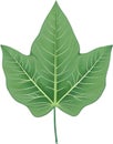 An image of a stylized leaf.