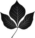 An image of a stylized leaf.