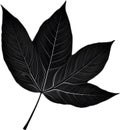 An image of a stylized leaf.