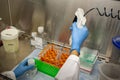 image of a suction pipette in a biosafety cabinet Royalty Free Stock Photo