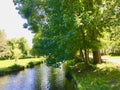 Trees along the river bank Royalty Free Stock Photo