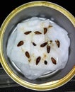 An image of sunflower seeds seedling on wet cotton