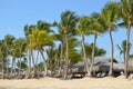 Tropical Beach Dominican Republic