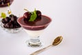 Superbly cooked panna cotta with cherry jelly in glasses