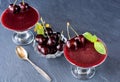 superbly cooked panna cotta with cherry jelly in glasses