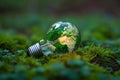 Image Sustainable vision Green world map on a light bulb