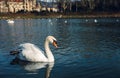 Image - Swans on the river with reflection in water and hotel on background in PieÃÂ¡ÃÂ¥any city. Illuminated Swan posing on crystal Royalty Free Stock Photo