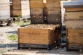 Bees swarm collected to empty bee hive among other hives in the apiary farm