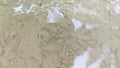 tadpoles floating on the murky surface of the almost drying stagnant pool of rainwater. Royalty Free Stock Photo