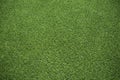 Green synthetic lawn