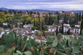 Image taken from a viewpoint near San Miguel Alto landscape of the Alhambra on a cloudy autumn day, the forest with green and