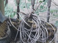 Image of a tangled mess of old electrical wires Royalty Free Stock Photo