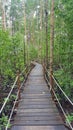 Tanjung Piai National Park Royalty Free Stock Photo