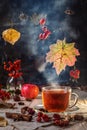 Image with tea. Royalty Free Stock Photo