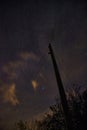 Telephone pole silhouetted against the starry night sky