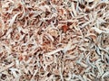 image of the texture of chopped wood dust left over from cutting down trees