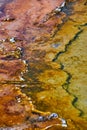 Texture of water and sediment layers in springs of Yellowstone