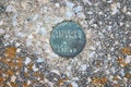 Textured background asset, rust, moss, lichen covered, bespeckled rock, round metal numbered plate