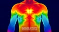 Thermal Imaging of Immune System Activation in Human Torso Royalty Free Stock Photo