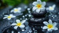 Serene Spa Setting with Tiare Flowers and Tower in Black Stone Ambiance Royalty Free Stock Photo