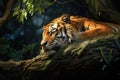 Image of tiger sleeping lying in the forest. Mammals. Wildlife Animals Royalty Free Stock Photo