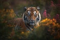 Image of a tiger surrounded by colorful tropical flowers in a beautiful garden. Wildlife Animals. Illustration, Generative AI