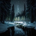 Frosty reflections in the night: winter landscape in the mountains with coniferous forest Royalty Free Stock Photo