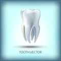 image tooth vector illustration for dentistry Royalty Free Stock Photo