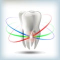 image tooth vector illustration for dentistry Royalty Free Stock Photo