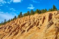 Top of mountain peak with wavy rocks and layer of pine trees